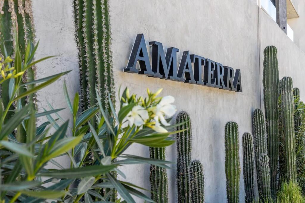 Endless Summer - 2Bed 2Bath Condo - Seasonly Heated Pool With Ocean Views - 5Min Walk To Beach - Fibre Internet - Sleeps 6 Cabo San Lucas Eksteriør bilde